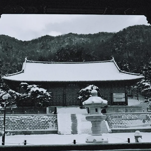 모던 아모르센터 테라피 안내 이미지