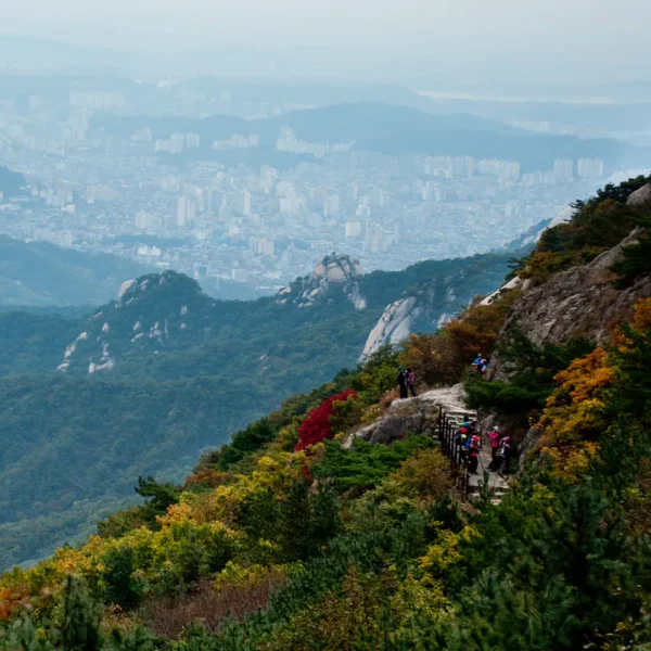 모던 아모르살롱 테라피 안내 이미지